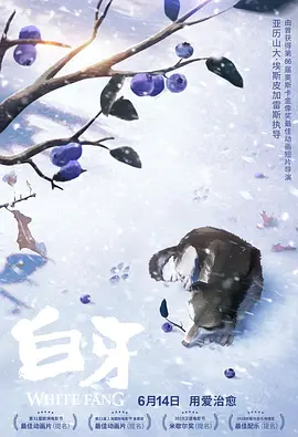 鲁大师手机在线影院播放